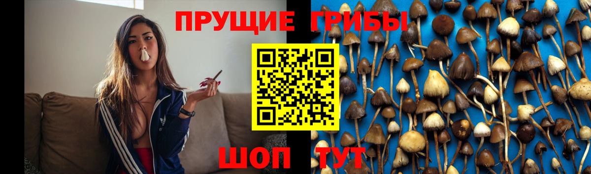 Галлюциногенные грибы MAGIC MUSHROOMS Фурманов