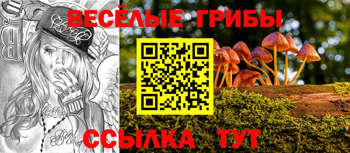 Галлюциногенные грибы Cubensis  наркошоп  Галлюциногенные грибы Psilocybine cubensis  Фурманов  Вход с VPN 